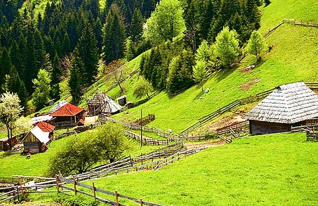 Что привезти из Сербии в подарок. Сербские сувениры